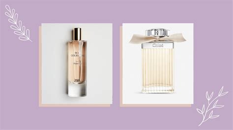 dupes chloe perfume|zara rose gourmand perfume dupe.